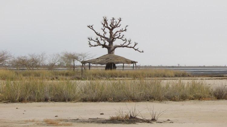 Ecolodge De Simal Exteriér fotografie